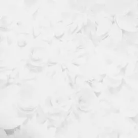 BN 217340 Обои BN (Tailor) (1*6) 10,05x1,06 винил на флизелине