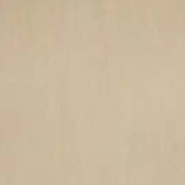 BN 217982 Обои BN (Essentials) (1*12) 10,05x0,53 винил на флизелине