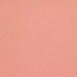 BN 218310 Обои BN (Glassy) (1*12) 10,05x0,53 винил на флизелине