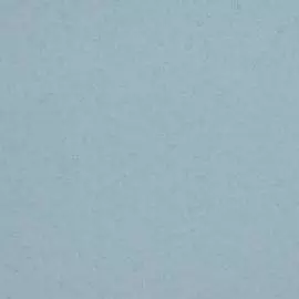 BN 218312 Обои BN (Glassy) (1*12) 10,05x0,53 винил на флизелине