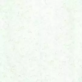 BN 218318 Обои BN (Glassy) (1*12) 10,05x0,53 винил на флизелине