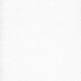 BN 218466 Обои BN (Loft) (1*12) 10,05x0,53 винил на флизелине