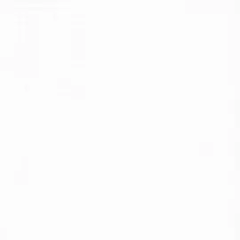 BN 218492 Обои BN (Loft) (1*12) 10,05x0,53 винил на флизелине