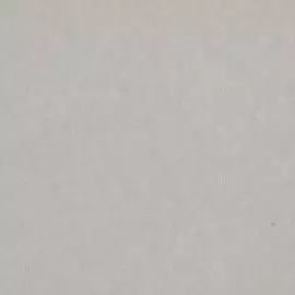 BN 218644 Обои BN (Neo Royal) (1*6) 10,05x0,53 винил на флизелине