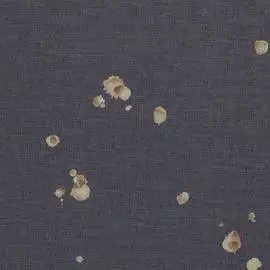 BN 218659 Обои BN (Neo Royal) (1*6) 10,05x0,53 винил на флизелине