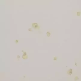 BN 218661 Обои BN (Neo Royal) (1*6) 10,05x0,53 винил на флизелине