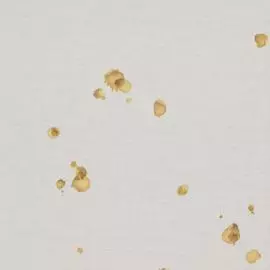 BN 218662 Обои BN (Neo Royal) (1*6) 10,05x0,53 винил на флизелине