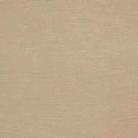 BN 218909 Обои BN (Rise &amp; Shine) (1*12) 10,05x0,53 винил на флизелине