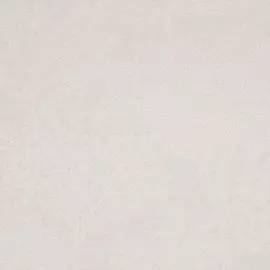 BN 218925 Обои BN (Rise &amp; Shine) (1*12) 10,05x0,53 винил на флизелине