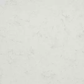 BN 218940 Обои BN (Rise &amp; Shine) (1*12) 10,05x0,53 винил на флизелине