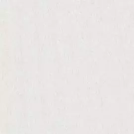 BN 220110 Обои BN (Panthera) (1*12) 10,05x0,53 винил на флизелине