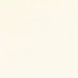 BN 220160 Обои BN (Panthera) (1*12) 10,05x0,53 винил на флизелине