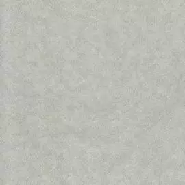 BN 249350 Обои BN (Tailor) (1*6) 10,05x1,06 винил на флизелине