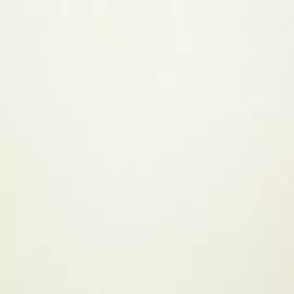 BN 249351 Обои BN (Tailor) (1*6) 10,05x1,06 винил на флизелине