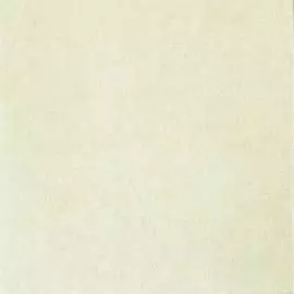 BN 46011 Обои BN (Color Stories/50Shades of colour/Chacran) (1*12) 10,05х0,53 винил на флизе