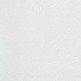 BN 49351 Обои BN (More the Elements/Art of Living) (1*12) 10,05х0,53 винил на флизе