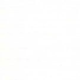 BN 49461 Обои BN (Colour Line) (1*12) 10,05х0,53 винил на флизе