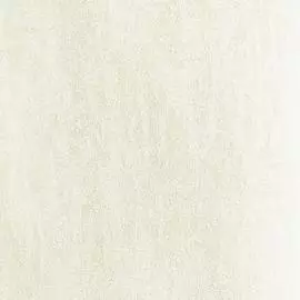 BN 82101 Обои BN (Absolute) (1*6) 10,05х1,06 винил на флизе