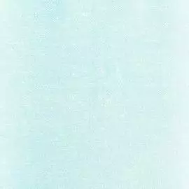 BN 82113 Обои BN (Absolute) (1*6) 10,05х1,06 винил на флизе