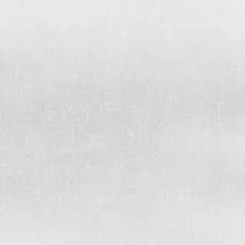 BN 82119 Обои BN (Absolute) (1*6) 10,05х1,06 винил на флизе