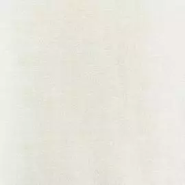 BN 82121 Обои BN (Absolute) (1*6) 10,05х1,06 винил на флизе