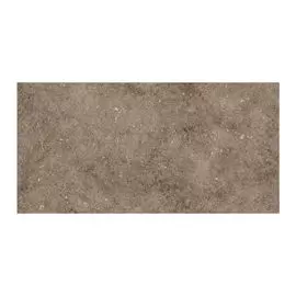 Болонья 60х30 коричневый СК000029239