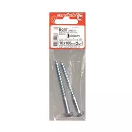 Болт сантехнический оцинк. DIN 571 10х100 (2 шт)