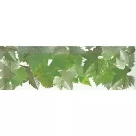 Бордюр Hojas Blanco 10*30