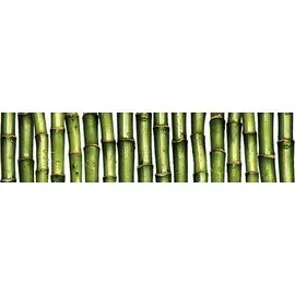 бордюр jungle 6*25 зеленый