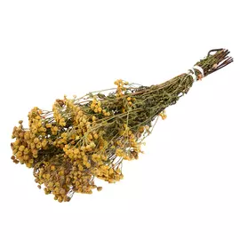 букет травяной для бани пижма банные штучки