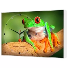 Часы 37*60 Зеленая лягушка BL-2404