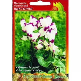 Цикламен персидский Виктория /4шт/