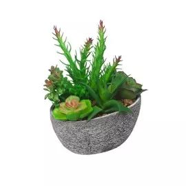 Цветочная композиция в кашпо "Алоэ и Эхиверия",15*8*18 см