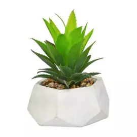 цветок искусственное алоэ в кашпо 120*120*150 вещицы зеленый rio1