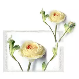 Цветок искусственный Ранункулюс h=30см короткий