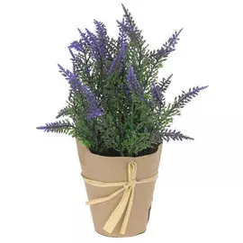 Цветы лаванды в горшке h=24см 317002270