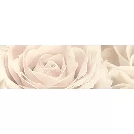 Декор 25х75 Роза 12056\3F