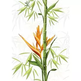 декор jungle 1 25*35 белый