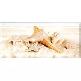 декор legend starfish 20*45 336762