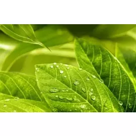 Декор Relax 25*40 494311 (6)