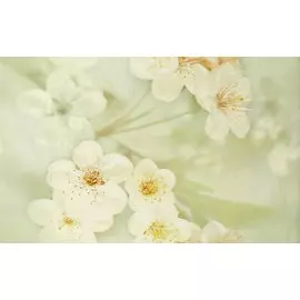 Декор Сакура зелёный 01 25х40 10301001893