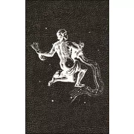 Декор Таурус Зодиак 25*40 Водолей черный 341594