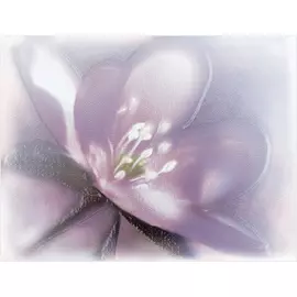 Декор Уралкерамика Lila 36,4x24,9 DWU07LIL023