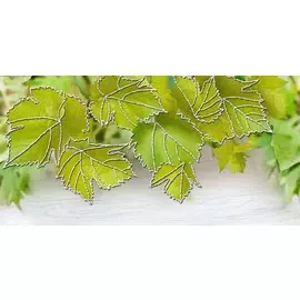 декор vine 2 20*10 td429_d2