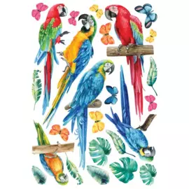 декоретто акварельные ара an 5018