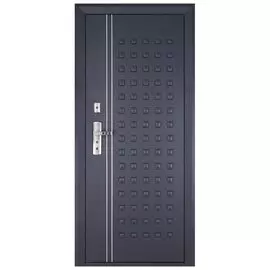 Дверь металлическая 228М 960*2050 Пр с наличником и фурнитурой
