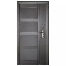 Дверь металлическая 328 960*2050 левая