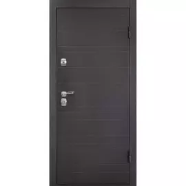 Дверь металлическая Триумф 860*2050 Пр