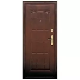 Дверь стальная 510 860*2050 Л с цилиндром