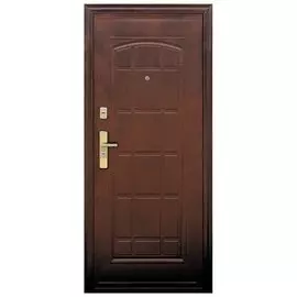 Дверь стальная 510 960*2050 Пр с цилиндром